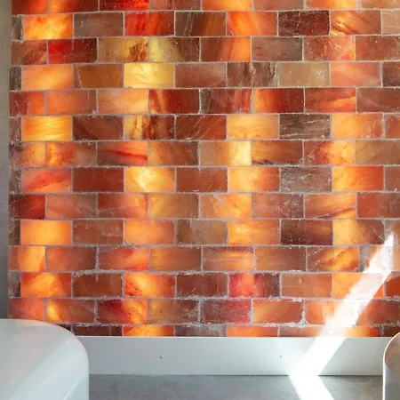 Hotel Grifone - Meetings & 4*